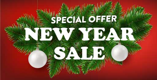 WordPress SoftWebz New Year Sale | WPSoftWebz Sales