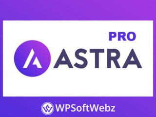 Astra Theme Pro Addon