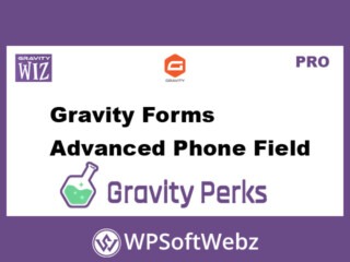 Gravity Forms Advanced Phone Field – Gravity Perks