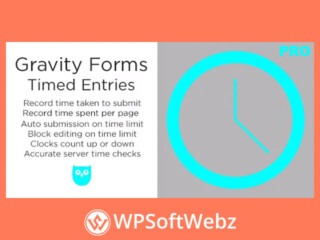 Gravity Forms Timed Entries