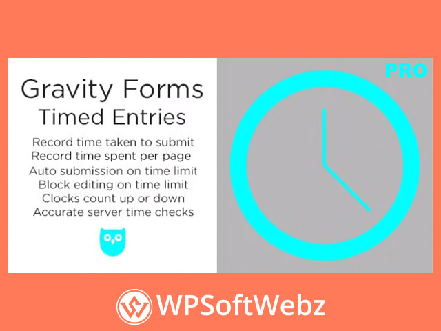 Gravity Forms Timed Entries