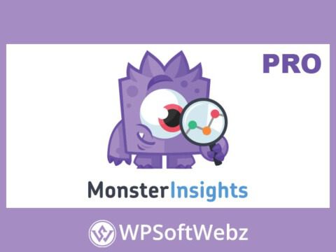 MonsterInsights - WordPress Analytics Plugin + Add-Ons