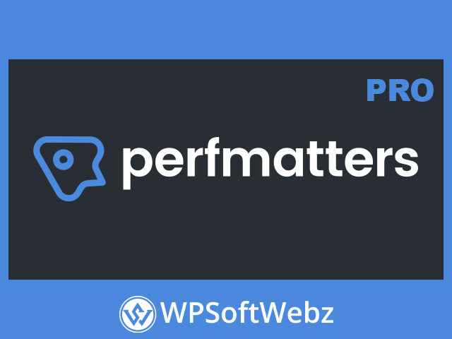 Perfmatters WordPress Plugin