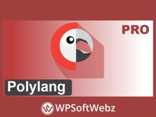 Polylang Pro Plugin