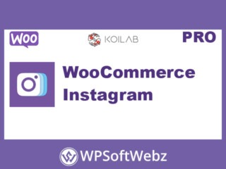 WooCommerce Instagram