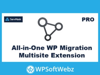 All-in-One WP Migration Multisite Extension