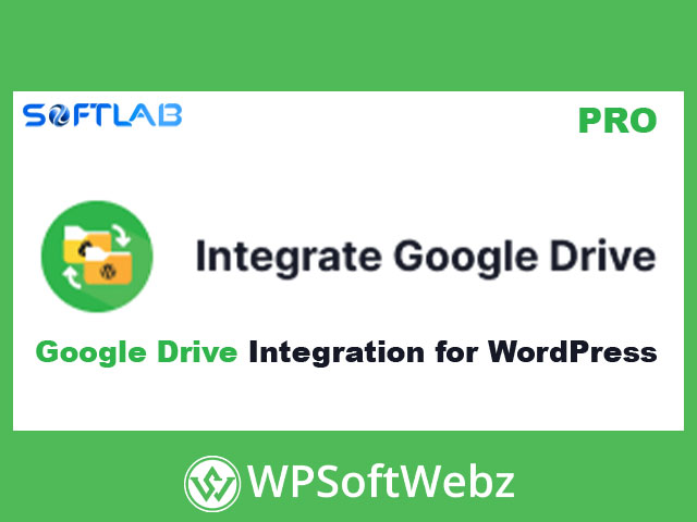 Integrate Google Drive Plugin Pro