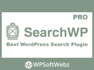 SearchWP Pro - WordPress Search Plugin