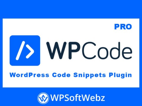 WPCode Pro - WordPress Code Snippets Plugin