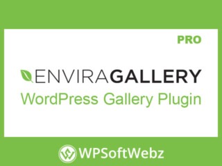 Envira Gallery Pro Plugin