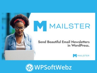 Mailster - Email Newsletter Plugin for WordPress