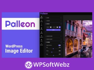 Palleon WordPress Image Editor | WpsoftWebz | WordPress SoftWebz