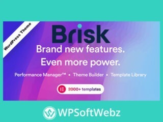 Brisk Theme - Multi-Purpose Elementor WordPress Theme