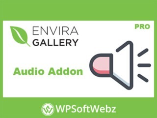 Envira Gallery Audio Addon