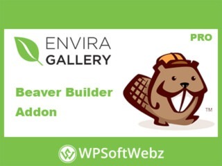 Envira Gallery Beaver Builder Addon