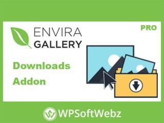 Envira Gallery Downloads Addon