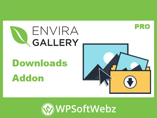 Envira Gallery Downloads Addon