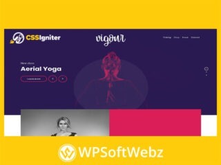 Vigour WordPress Theme - CSSIgniter