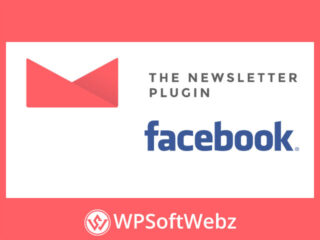 The Newsletter - Facebook Integration Addon