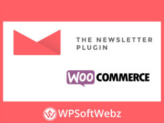 Newsletter - WooCommerce Integration Addon