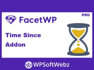 FacetWP Time Since Addon