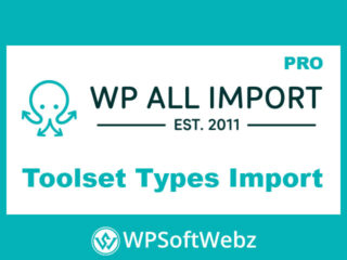 WP All Import Pro Toolset Types Import Add-on