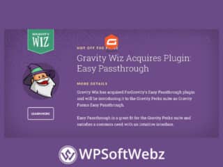 Gravity Forms Easy Passthrough Add-On - Gravity Wiz