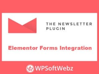 Newsletter Elementor Forms Integration Addon