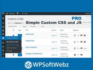 Simple Custom CSS and JS PRO WordPress Plugin