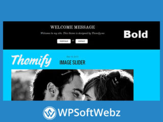 Themify Bold Theme Premium - Stylish Blog & Portfolio WordPress Theme