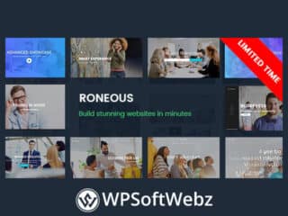 Roneous - Creative Multi-Purpose WordPress Theme