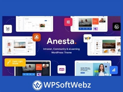 Anesta - Intranet, Extranet, Community and BuddyPress WordPress Theme