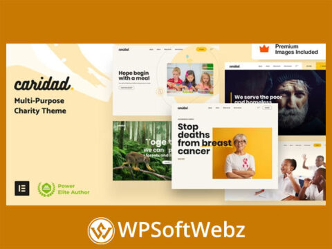 Caridad – Charity WordPress Theme