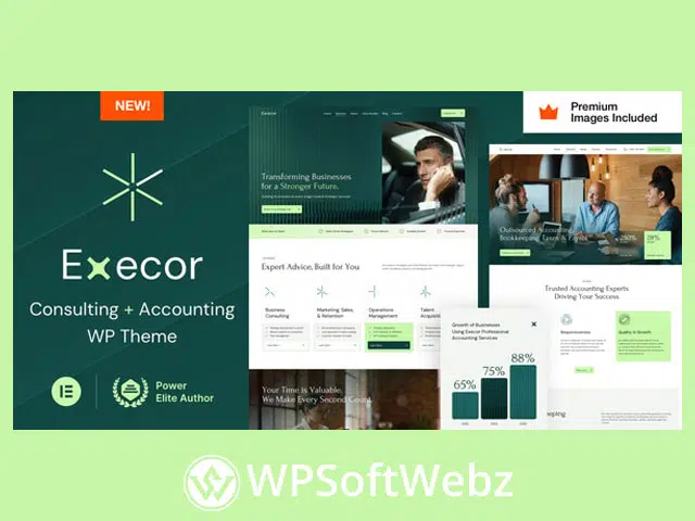 Execor – Accounting and Management Consulting WordPress Theme
