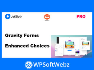 Gravity Forms Enhanced Choices Addon