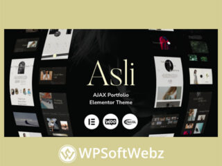 Asli – AJAX Portfolio Elementor WordPress Theme