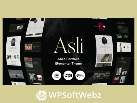 Asli – AJAX Portfolio Elementor WordPress Theme