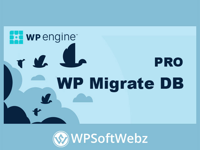 WP Migrate DB Pro - WordPress Website Migration Plugin