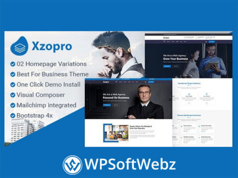 Xzopro - Finance And Business WordPress Theme