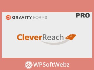 Gravity Forms CleverReach Add-On