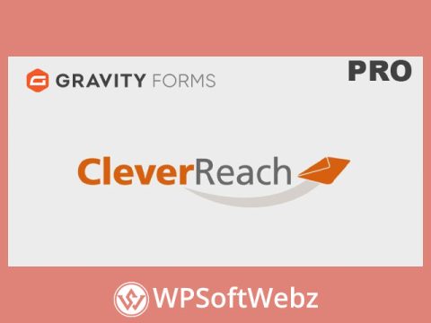 Gravity Forms CleverReach Add-On