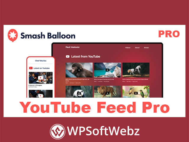 YouTube Feed Pro - By Smash Balloon