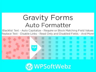 Gravity Forms Auto Formatter WordPress Plugin
