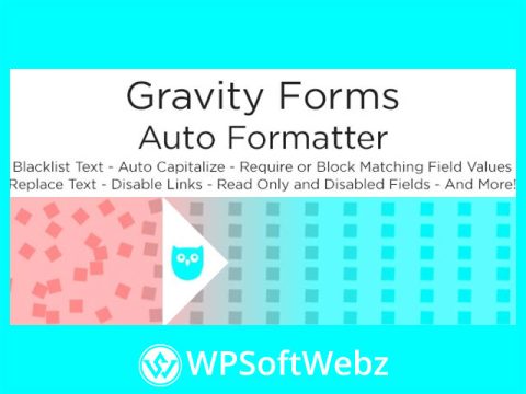 Gravity Forms Auto Formatter WordPress Plugin