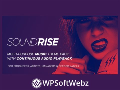 SoundRise - Artists, Producers and Record Labels WordPress Theme