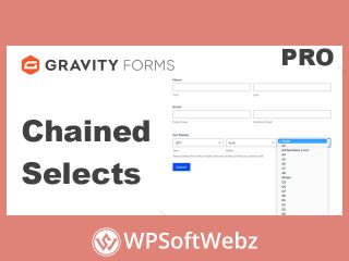 Gravity Forms Chained Selects for WordPress forms