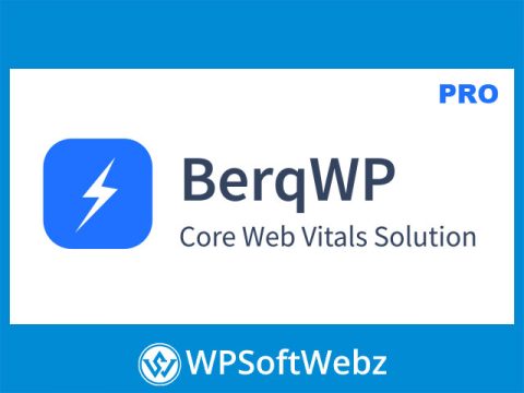 BerqWP Automatic WordPress Speed Optimization Plugin