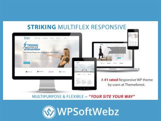 Striking - MultiFlex & Ecommerce Responsive WP Theme