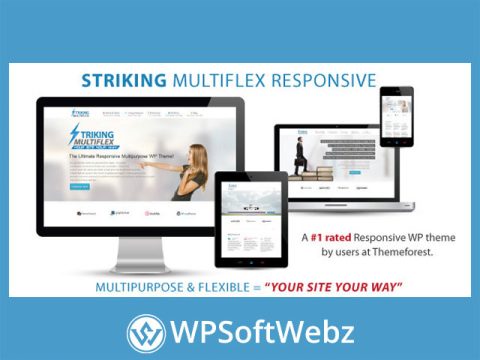 Striking - MultiFlex & Ecommerce Responsive WP Theme