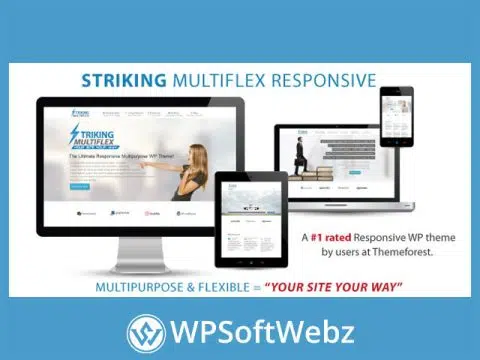 Striking - MultiFlex & Ecommerce Responsive WP Theme